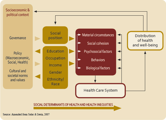 Factors That Influence Policy Drivers In Health And Social Care
